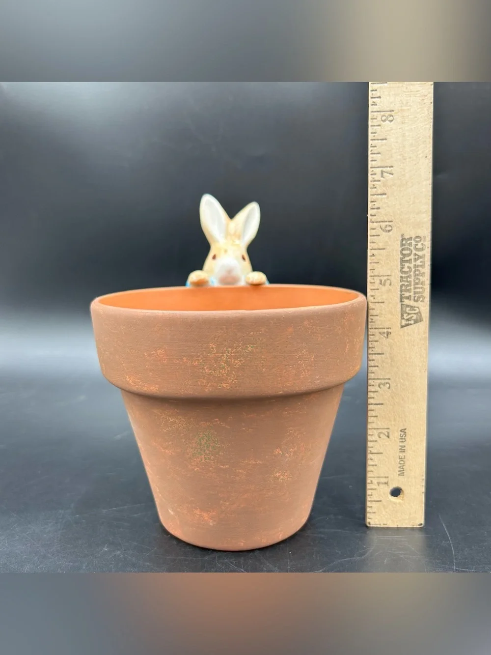 Beatrix Potter Peter Rabbit Teleflora Flower Pot Planter 2000 Ceramic Decor